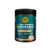 Pre Workout Endurance 300 g / pomarańcza